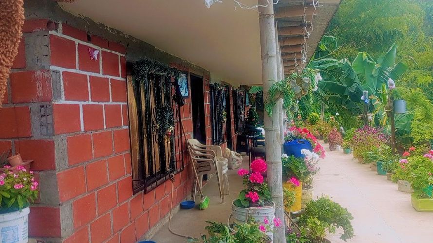 Finca en venta en Combia Baja, Pereira, 20000 m² · foto 10 de 10
