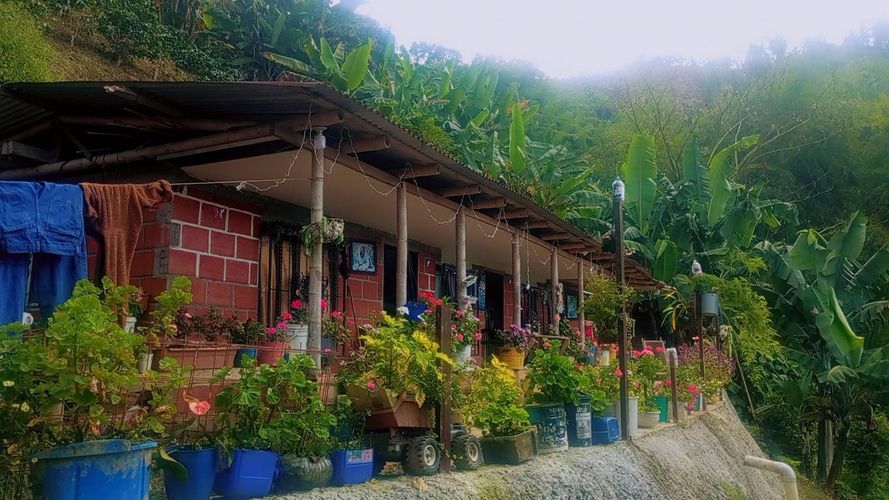 Finca en venta en Combia Baja, Pereira, 20000 m² · foto 7 de 10