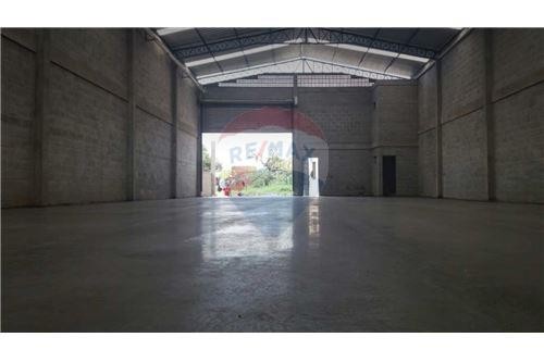 VENDO DEPOSITO/TINGLADO EN MARIANO ROQUE ALONSO — foto 3