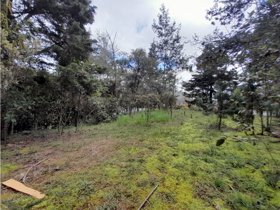 Lote en  Venta en Loma del Escobero, Envigado