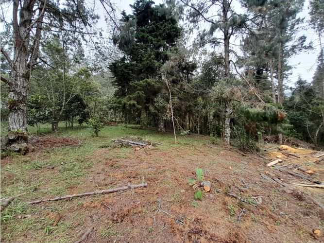 Lote en venta en Loma Del Escobero, Envigado, 6414 m² · foto 6 de 14