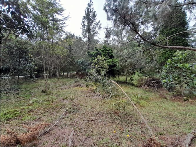Lote en venta en Loma Del Escobero, Envigado, 6414 m² · foto 8 de 14