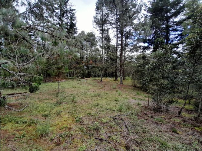 Lote en venta en Loma Del Escobero, Envigado, 6414 m² · foto 9 de 14