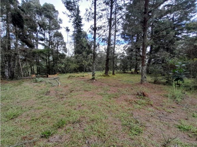 Lote en venta en Loma Del Escobero, Envigado, 6414 m² · foto 10 de 14