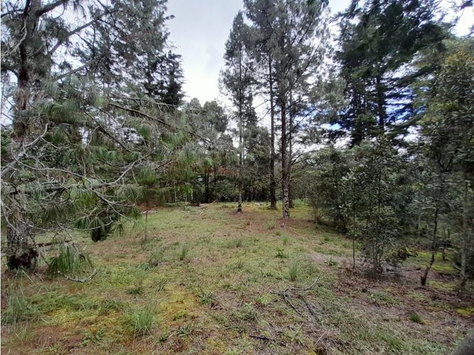 Lote en venta en Loma Del Escobero, Envigado, 6414 m² · foto 12 de 14