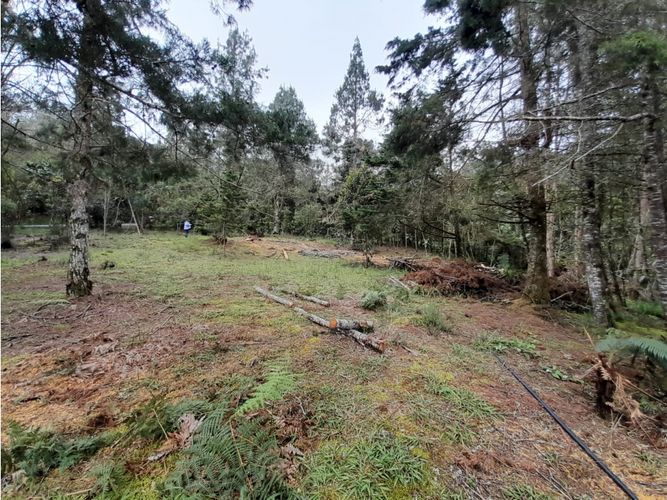 Lote en venta en Loma Del Escobero, Envigado, 6414 m² · foto 13 de 14