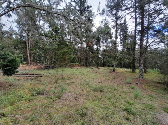 Lote en venta en Loma Del Escobero, Envigado, 6414 m² · foto 14 de 14