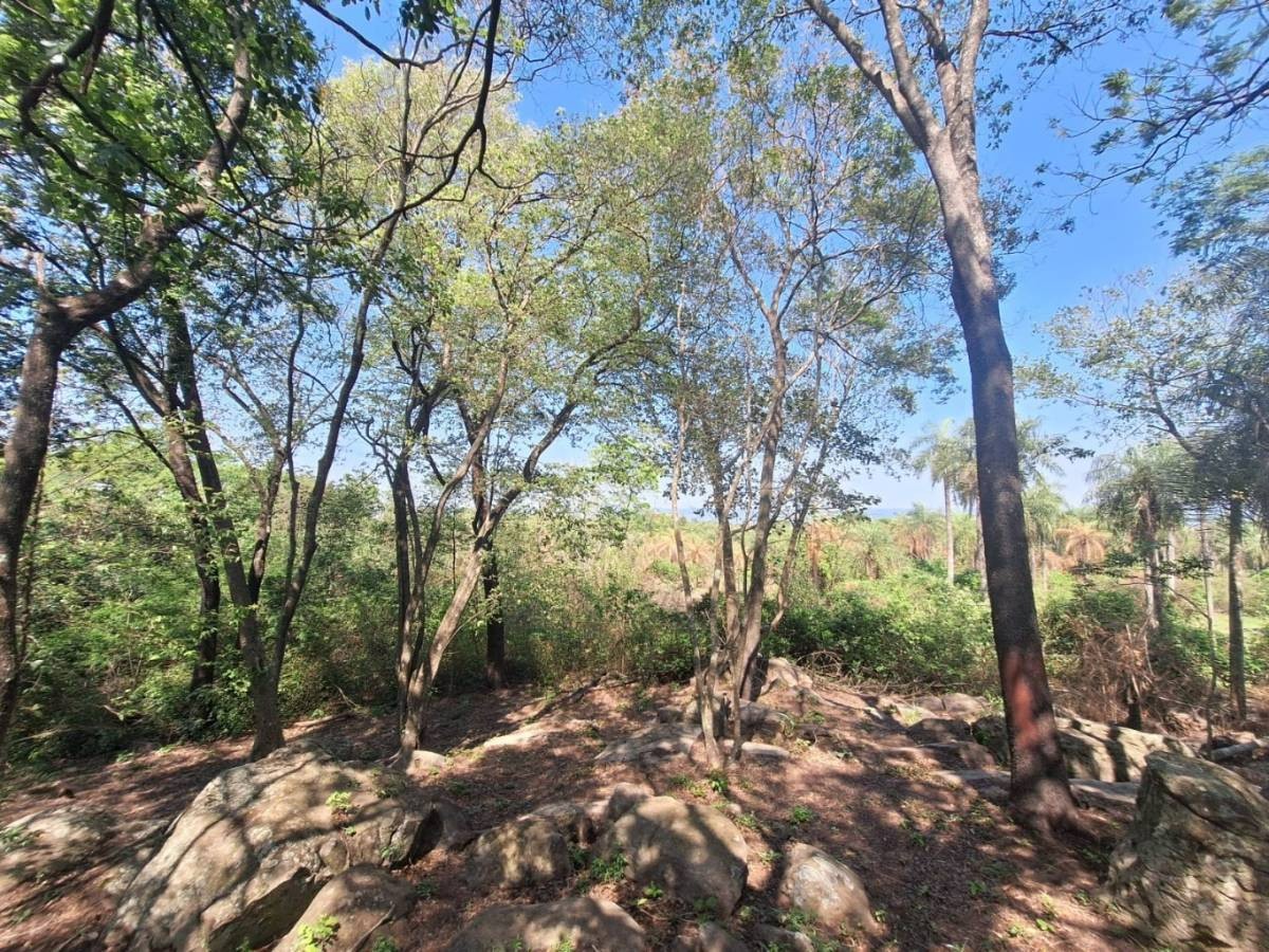 Exclusivas Hectáreas en Ciervo Cua: Inversión con Vistas Panorámicas al Lago y Potencial de Desarrollo — foto 3