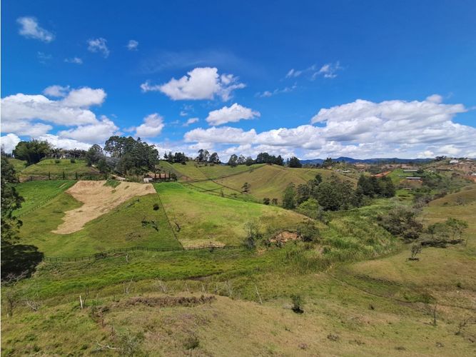 Casa de 4 alcobas en venta en Centro, Rionegro, 1050 m² · foto 16 de 16