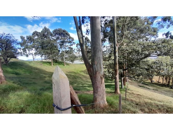 Lote en venta en Las Garzonas, El Carmen de Viboral, 75852 m² · foto 4 de 16