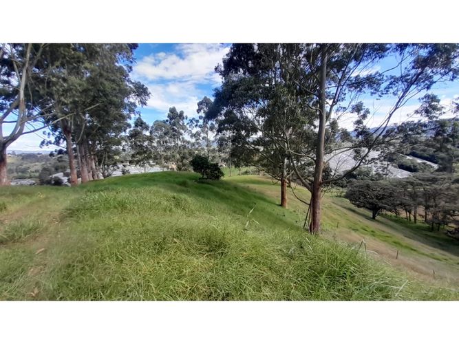 Lote en venta en Las Garzonas, El Carmen de Viboral, 75852 m² · foto 5 de 16