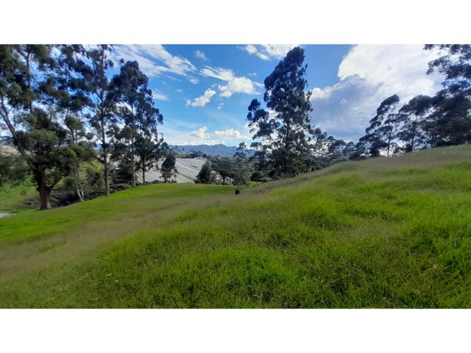 Lote en venta en Las Garzonas, El Carmen de Viboral, 75852 m² · foto 6 de 16