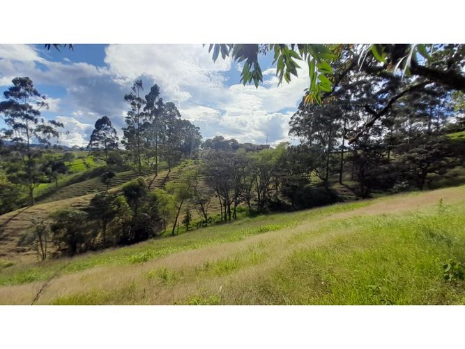 Lote en venta en Las Garzonas, El Carmen de Viboral, 75852 m² · foto 7 de 16