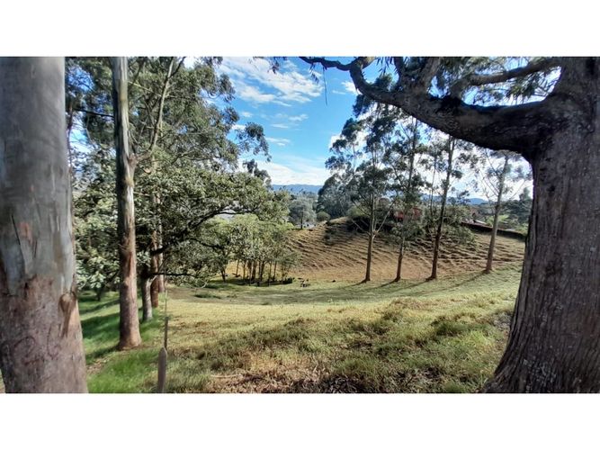 Lote en venta en Las Garzonas, El Carmen de Viboral, 75852 m² · foto 8 de 16