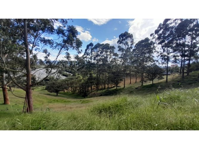 Lote en venta en Las Garzonas, El Carmen de Viboral, 75852 m² · foto 9 de 16