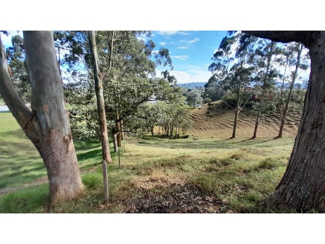 Lote en venta en Las Garzonas, El Carmen de Viboral, 75852 m² · foto 13 de 16