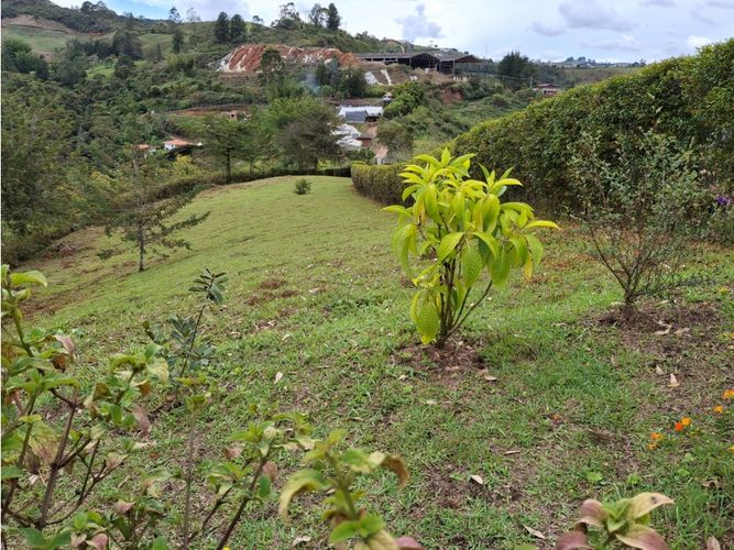 Finca en venta en La Industrial, Marinilla, 358 m² · foto 11 de 11