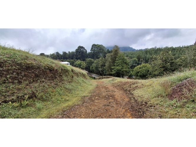 Lote en venta en El Carmen De Viboral, El Carmen de Viboral, 4258 m² · foto 2 de 13