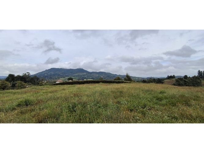 Lote en venta en El Carmen De Viboral, El Carmen de Viboral, 4258 m² · foto 3 de 13