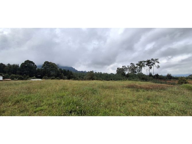 Lote en venta en El Carmen De Viboral, El Carmen de Viboral, 4258 m² · foto 4 de 13