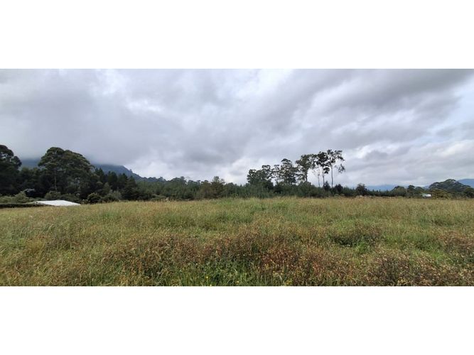 Lote en venta en El Carmen De Viboral, El Carmen de Viboral, 4258 m² · foto 5 de 13