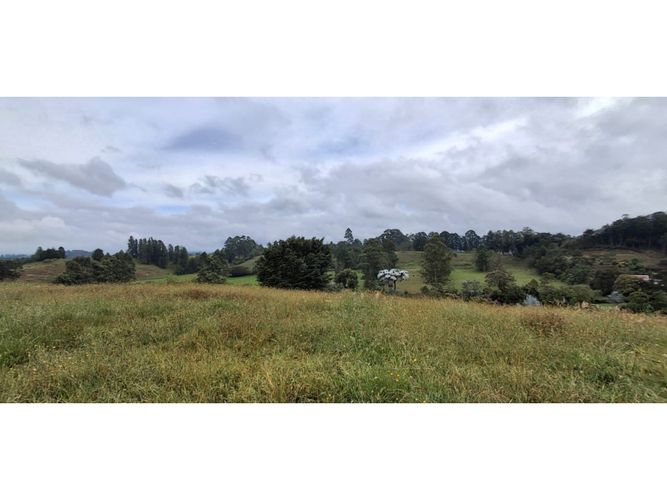 Lote en venta en El Carmen De Viboral, El Carmen de Viboral, 4258 m² · foto 6 de 13