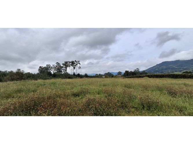 Lote en venta en El Carmen De Viboral, El Carmen de Viboral, 4258 m² · foto 11 de 13