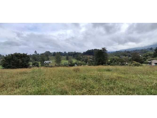 Lote en venta en El Carmen De Viboral, El Carmen de Viboral, 4258 m² · foto 12 de 13