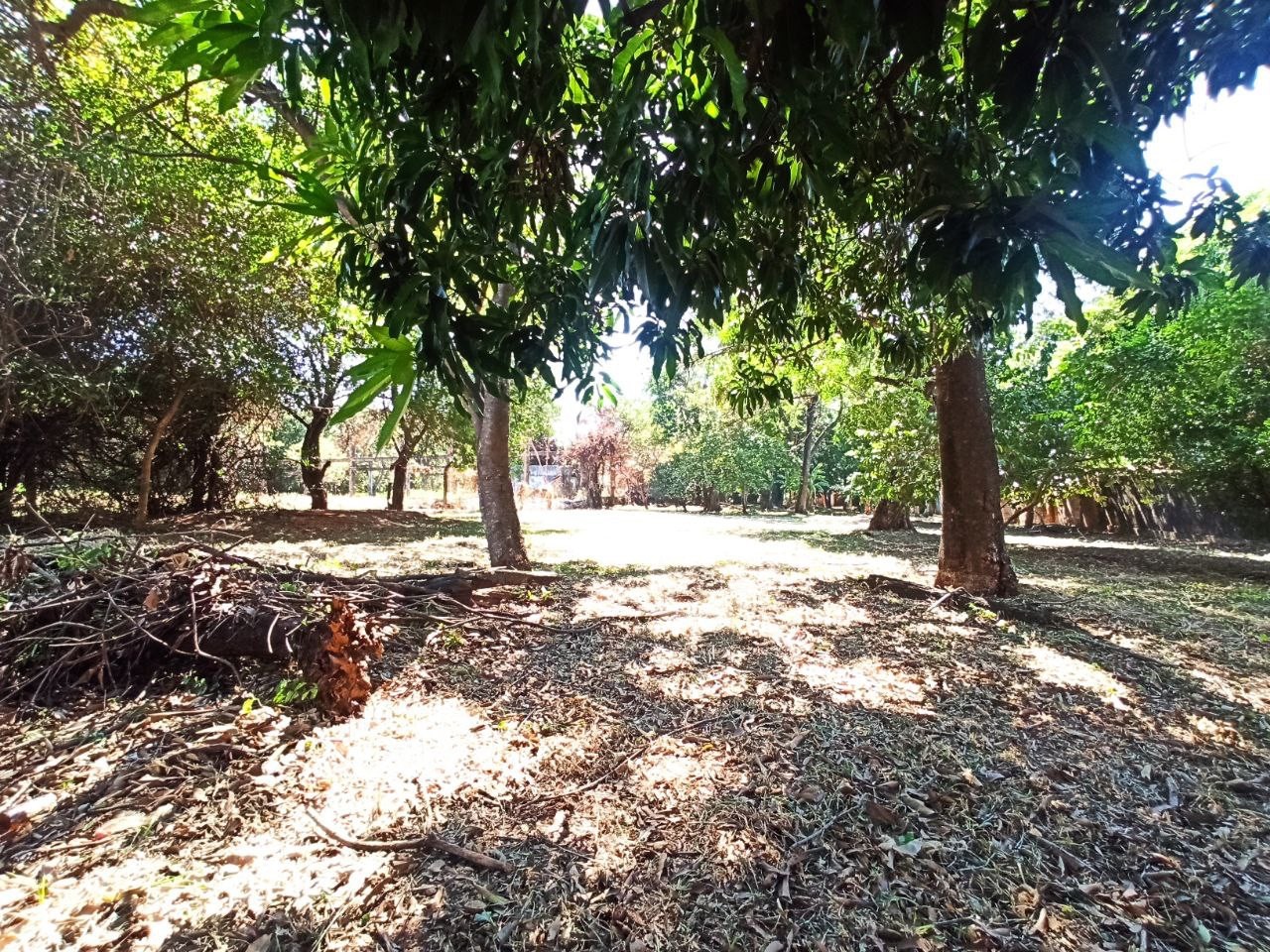 En Venta Amplio Terreno sobre la calle America - Luque — foto 3