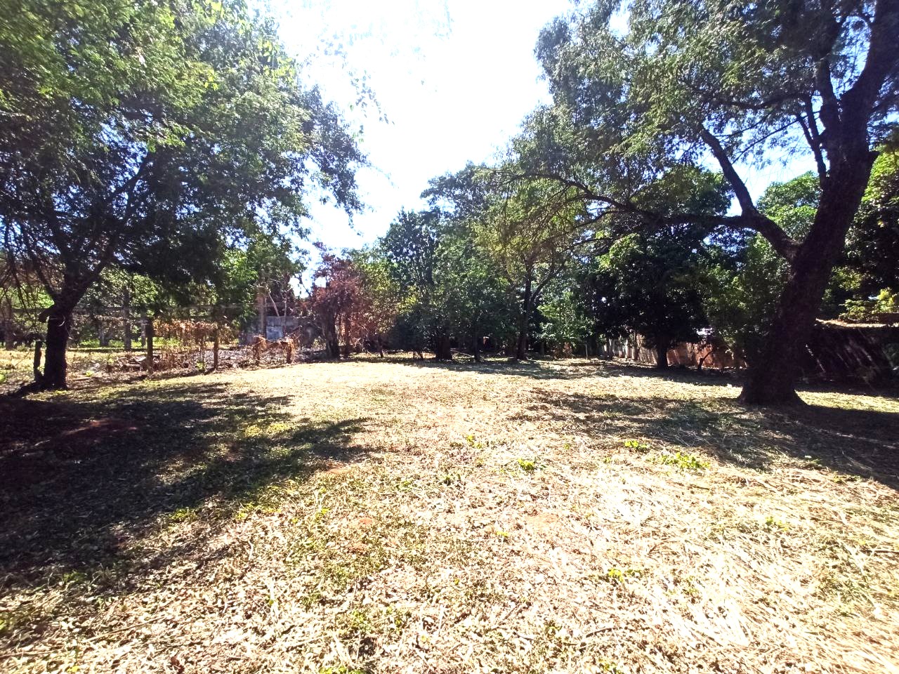 En Venta Amplio Terreno sobre la calle America - Luque — foto 2