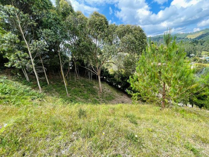 Lote en venta en Loma Del Escobero, Envigado, 2650 m² · foto 5 de 13
