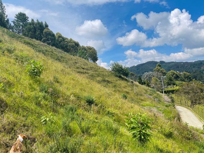 Lote en venta en Loma Del Escobero, Envigado, 2650 m² · foto 8 de 13