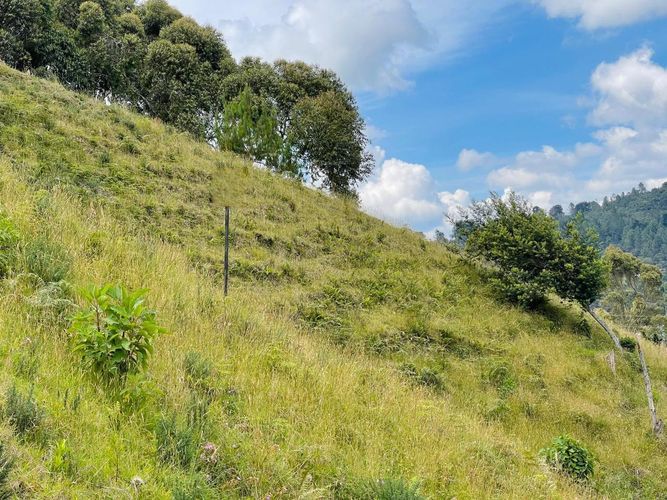 Lote en venta en Loma Del Escobero, Envigado, 2650 m² · foto 9 de 13
