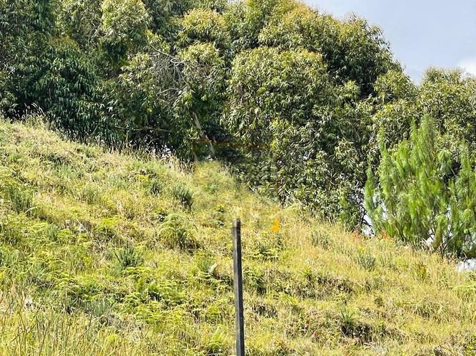 Lote en venta en Loma Del Escobero, Envigado, 2650 m² · foto 10 de 13