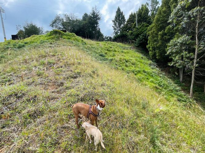 Lote en venta en Loma Del Escobero, Envigado, 2650 m² · foto 12 de 13