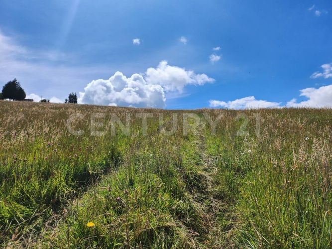 Lote en venta en Yerbabuena, Sopó, 2471 m² · foto 5 de 10