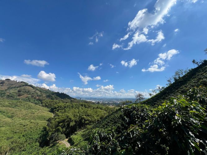 Lote en venta en Ciudad Boquia I, Pereira, 1744 m² · foto 7 de 13