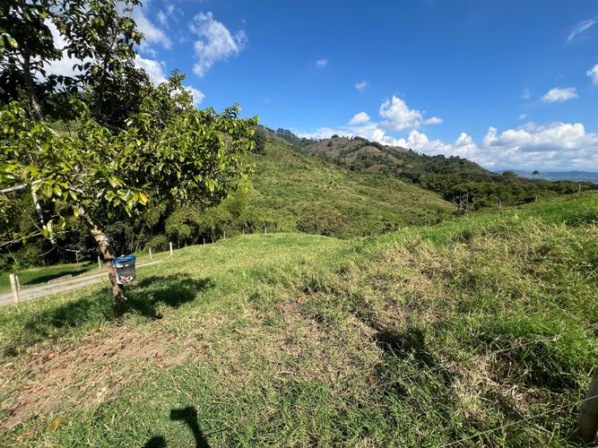Lote en venta en Ciudad Boquia I, Pereira, 1744 m² · foto 8 de 13