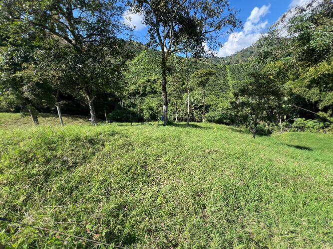 Lote en venta en Ciudad Boquia I, Pereira, 3168 m² · foto 10 de 12