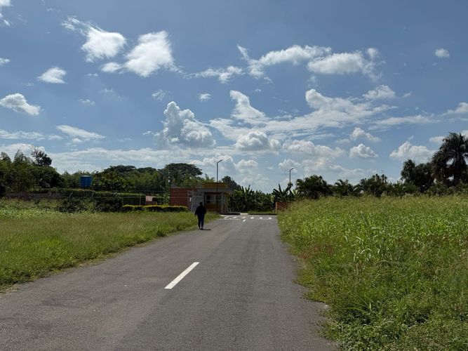 Lote en venta en Rozo, Palmira, 151 m² · foto 12 de 24