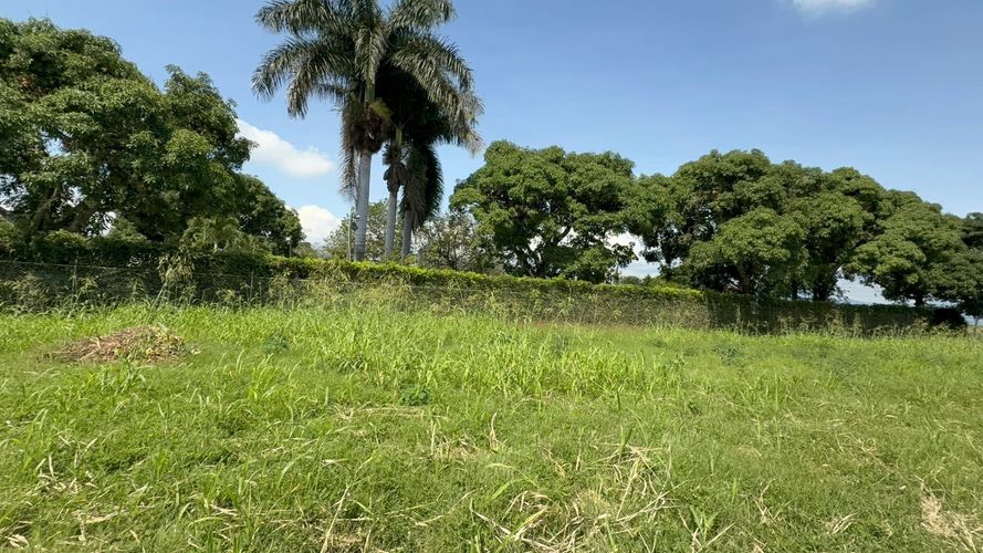 Lote en venta en Rozo, Palmira, 151 m² · foto 4 de 24