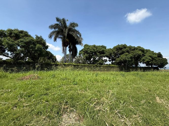 Lote en venta en Rozo, Palmira, 151 m² · foto 2 de 24