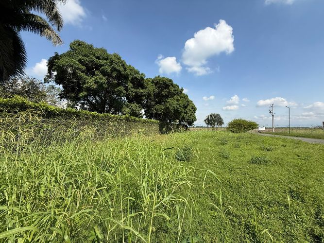 Lote en venta en Rozo, Palmira, 151 m² · foto 9 de 24