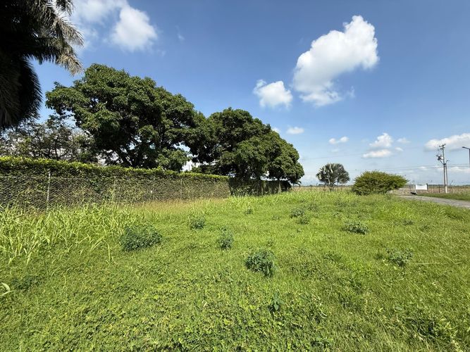 Lote en venta en Rozo, Palmira, 151 m² · foto 8 de 24