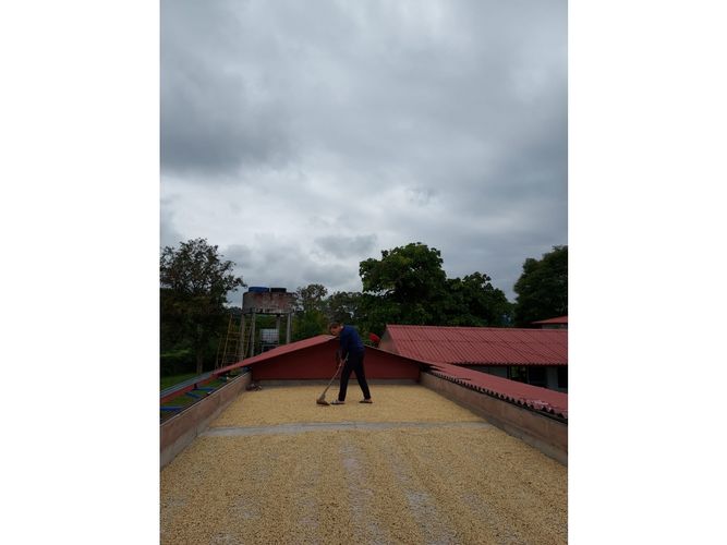 Finca en venta en La Patria, Armenia, 800 m² · foto 12 de 24