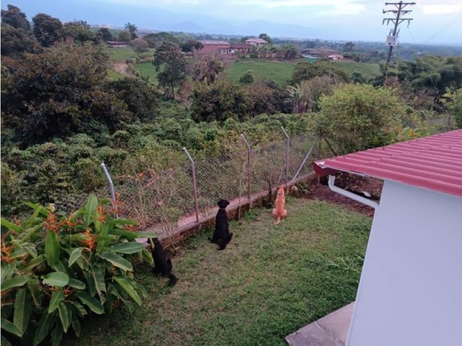 Finca en venta en La Patria, Armenia, 800 m² · foto 15 de 24