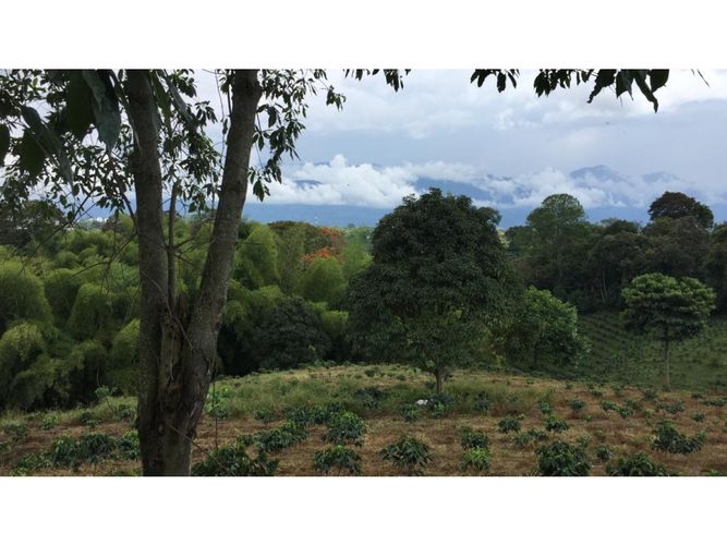 Finca en venta en La Patria, Armenia, 800 m² · foto 18 de 24