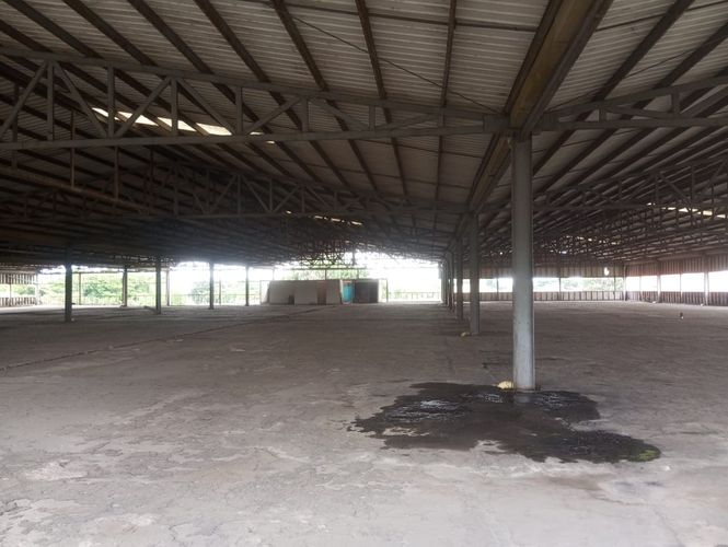 Bodega en venta en Flora Industrial, Cali · foto 22 de 24