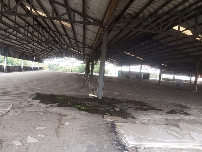 Bodega en arriendo en Flora Industrial, Cali · foto 5 de 24