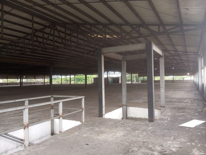 Bodega en arriendo en Flora Industrial, Cali · foto 12 de 24